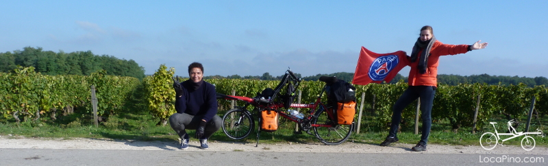 Un tandem Hase Pino dans les vignes avec le drapeau du club de foot du PSG Paris Saint Germain